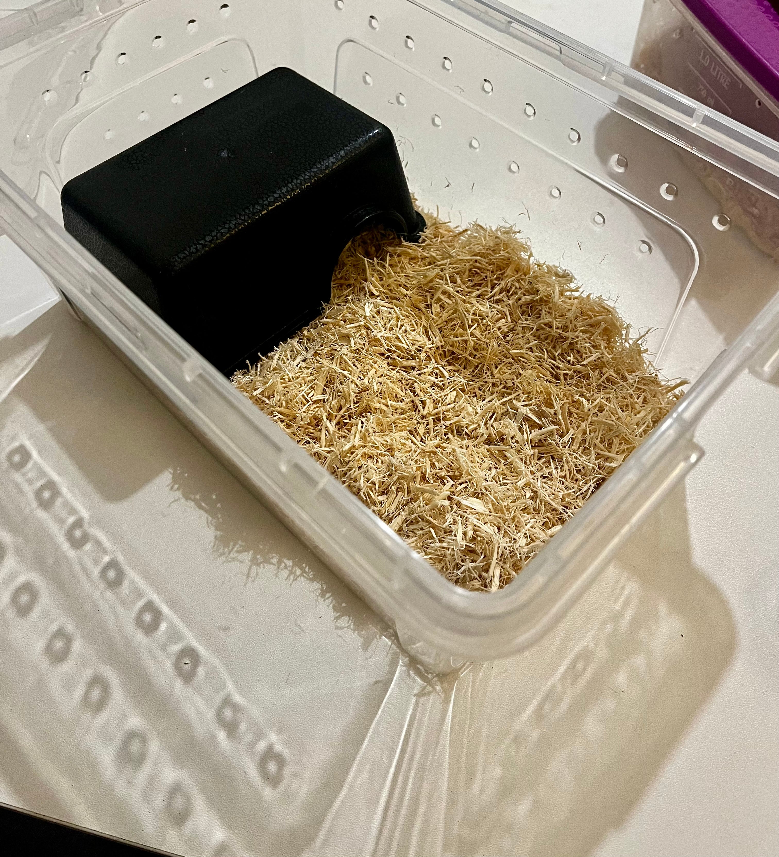 Reptile Hide Box for Snakes and Geckos