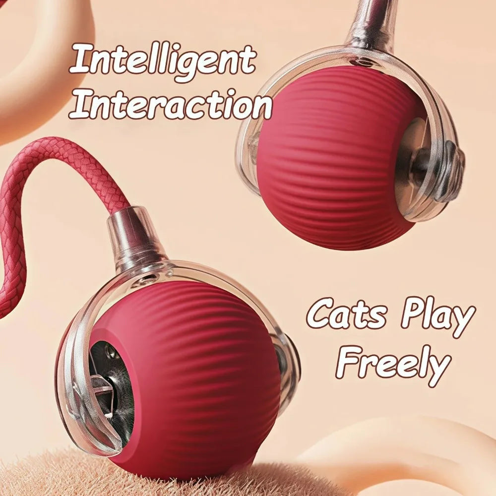 Fast Rolling Smart Cat Toy Ball Automatic Interactive fun with fake tail 🇬🇧