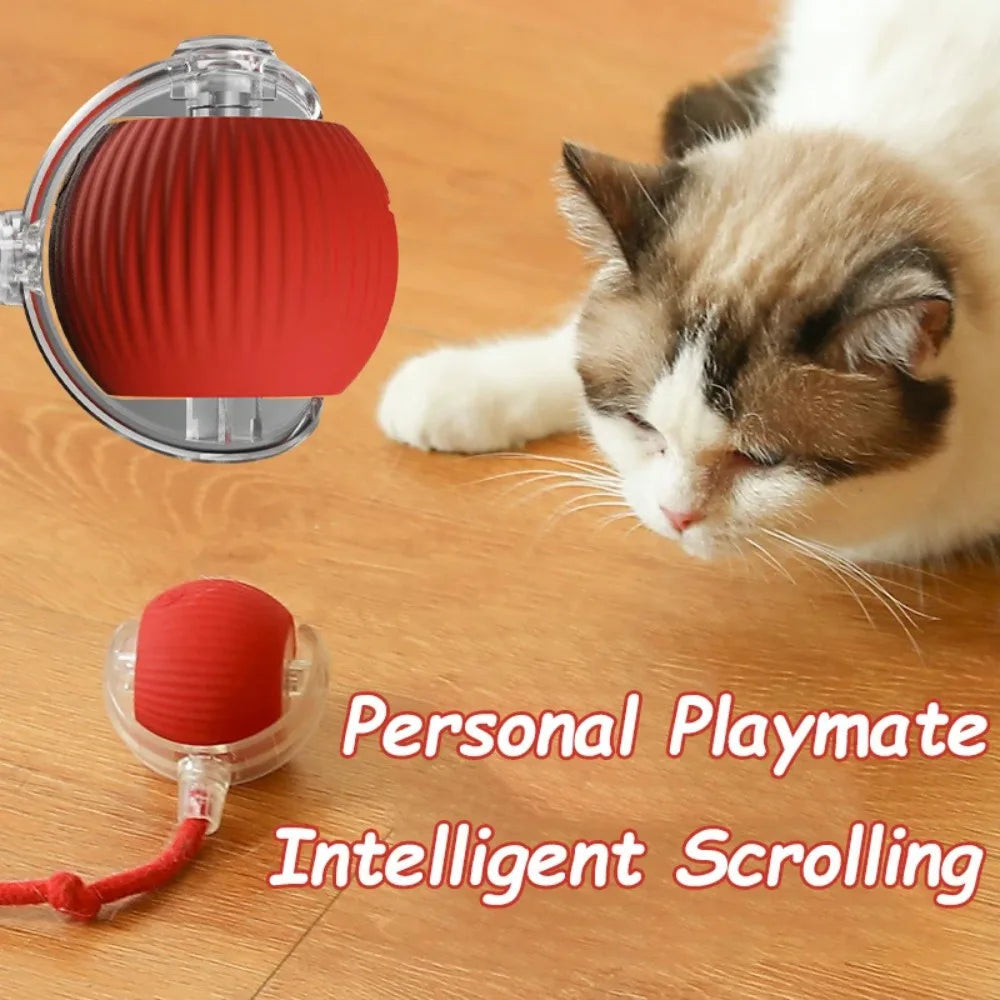Fast Rolling Smart Cat Toy Ball Automatic Interactive fun with fake tail 🇬🇧