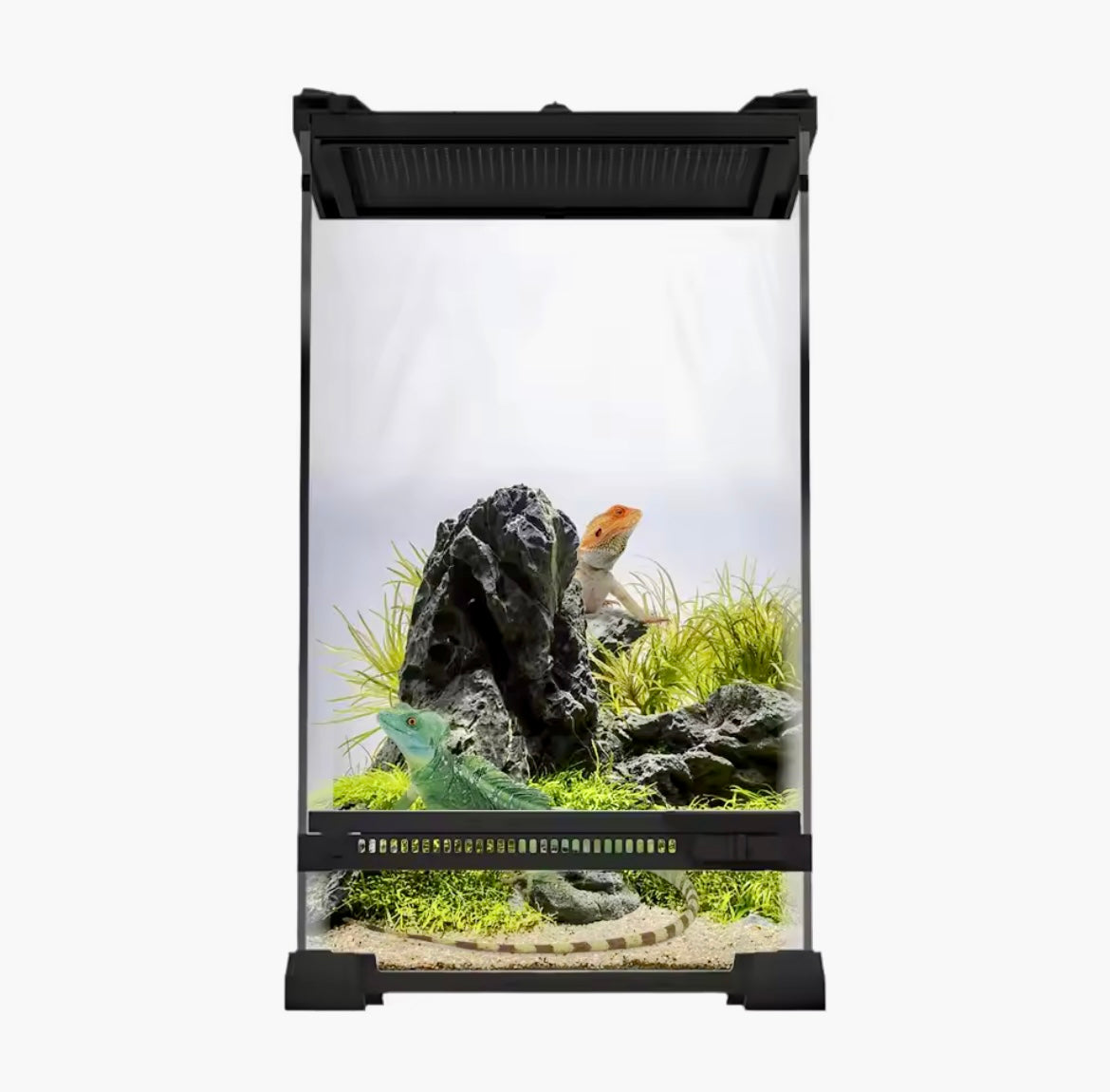 Reptile Glass Terrarium with Vents Anti-Escape Door for reptile  and invertebrates Vivarium free postage UK
