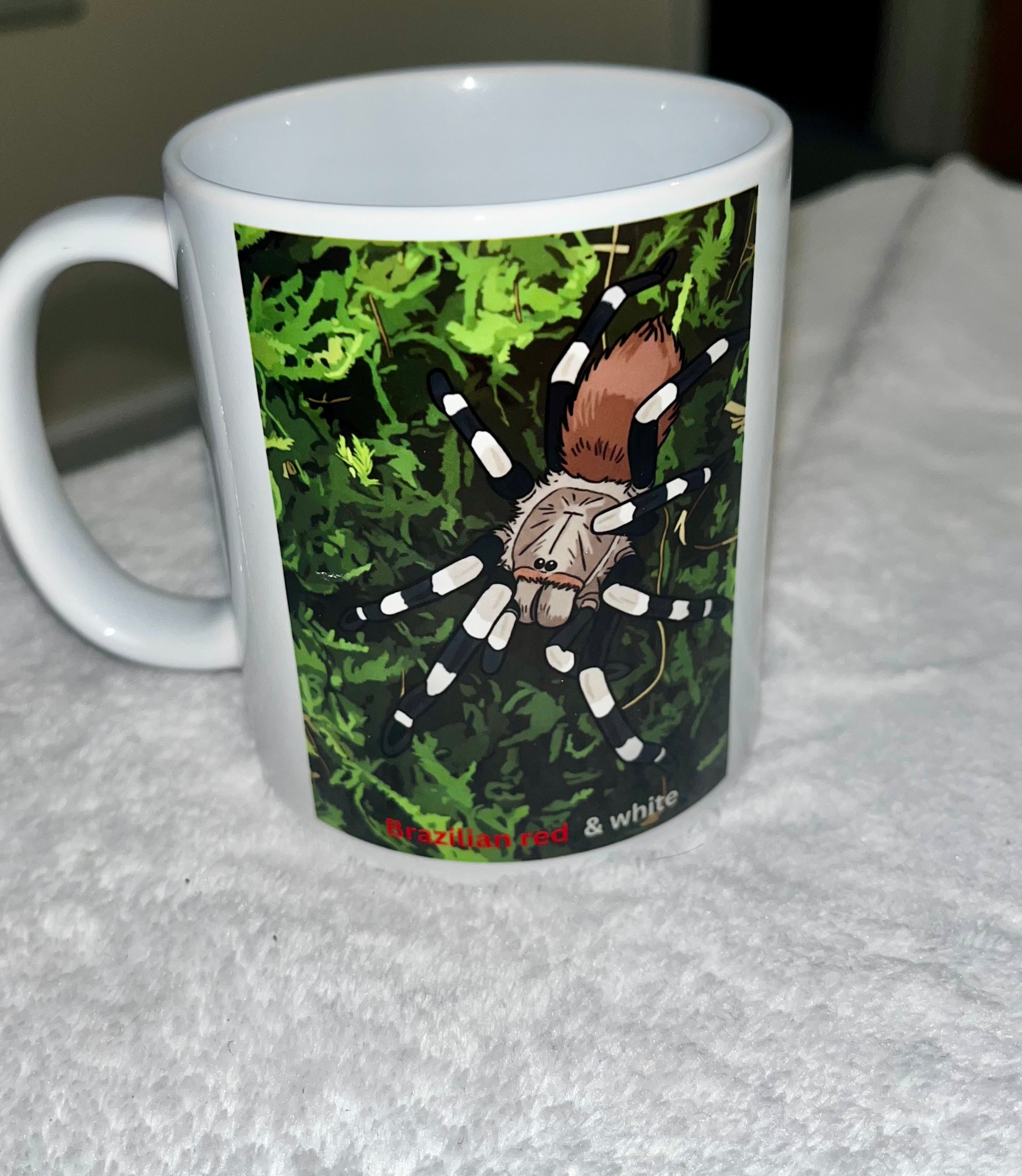 Brazilian red and white tarantula/ Vitalius chromatus Tarantula mug