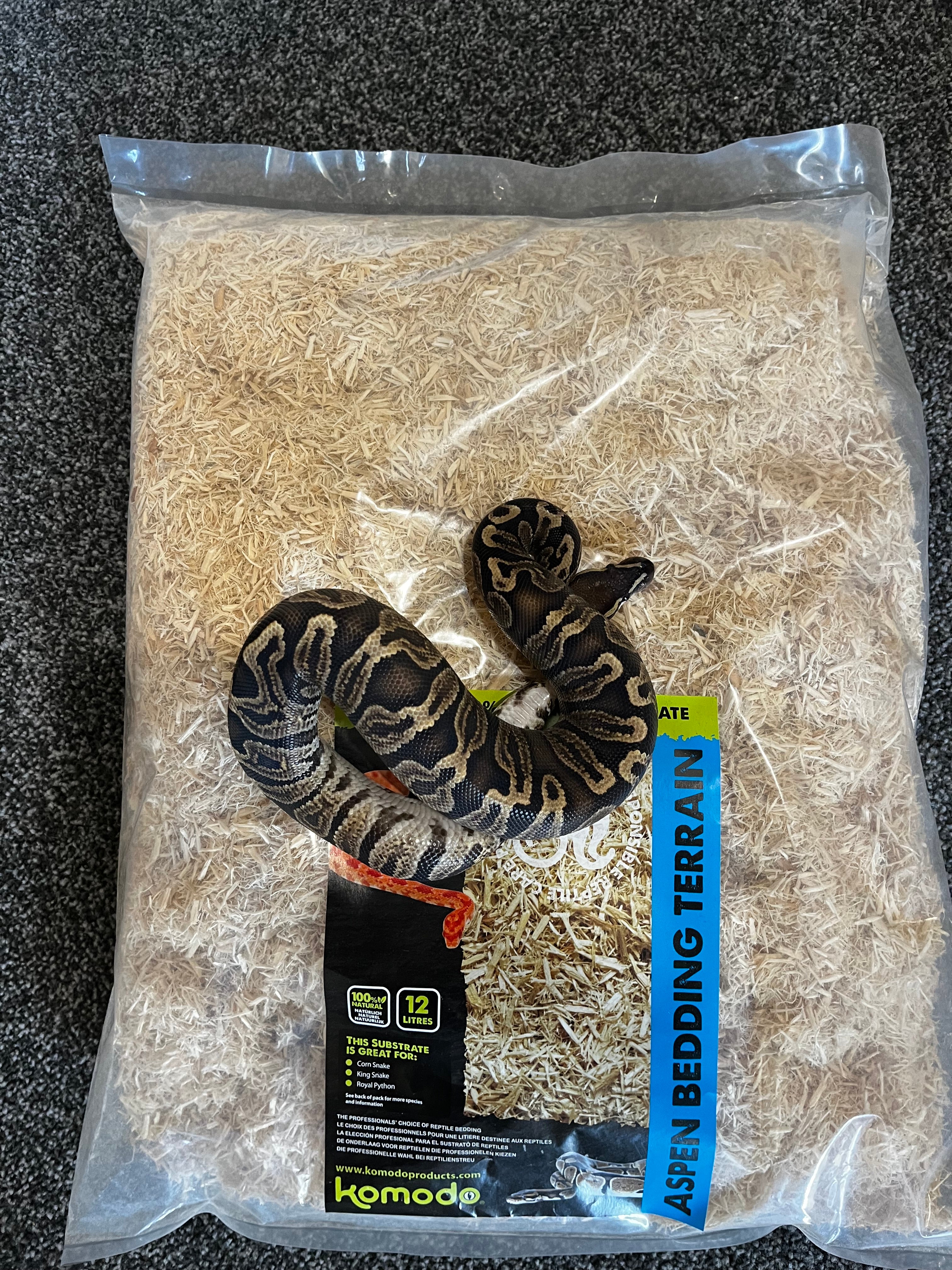 Komodo Aspen Bedding for Snakes - 12L Natural Wood Substrate for Burrowing Reptiles - Eco-Friendly & Biodegradable