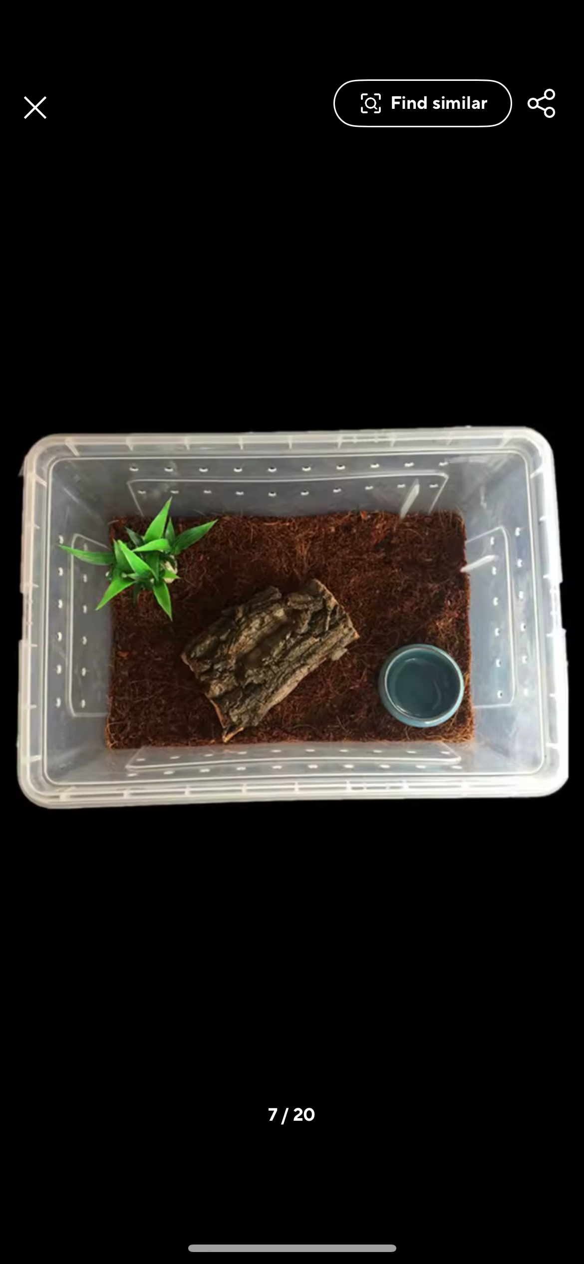 Hinged Lid Hatchling Tubs for Snakes Gecko or Inverts 26cm x 17.5cm x 12.5cm Free Postage Clear Plastic Container