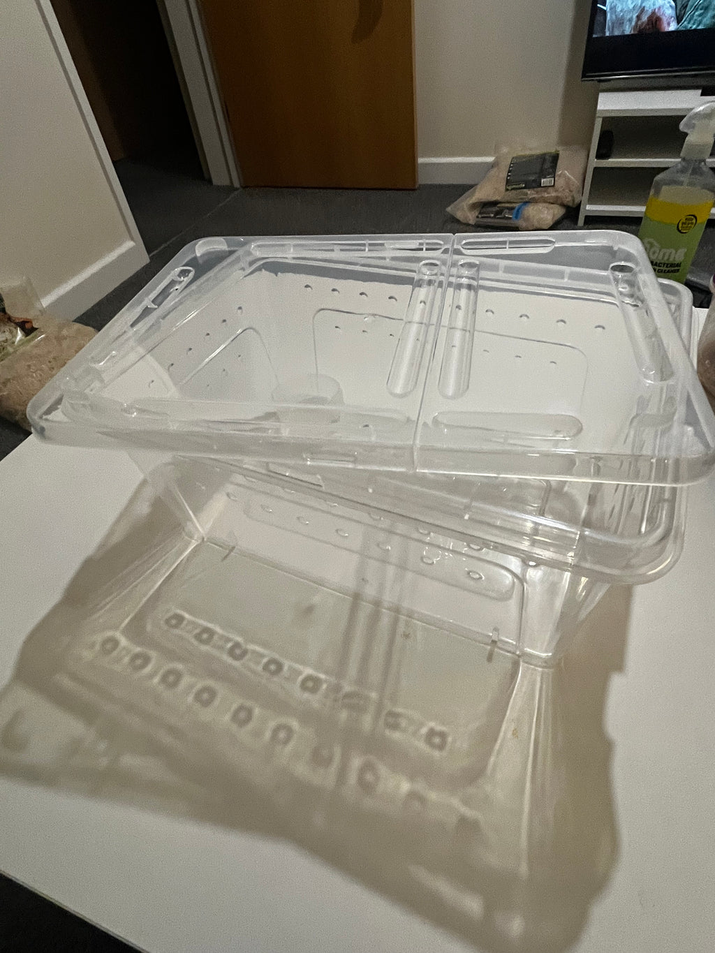 Hinged Lid Hatchling Tubs for Snakes Gecko or Inverts 26cm x 17.5cm x 12.5cm Free Postage Clear Plastic Container