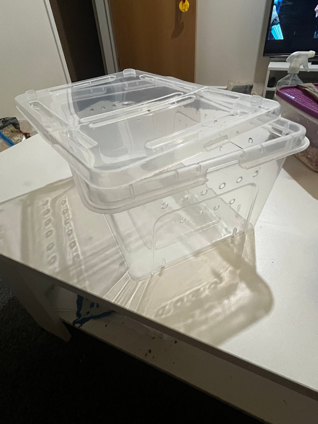 Hinged Lid Hatchling Tubs for Snakes Gecko or Inverts 26cm x 17.5cm x 12.5cm Free Postage Clear Plastic Container