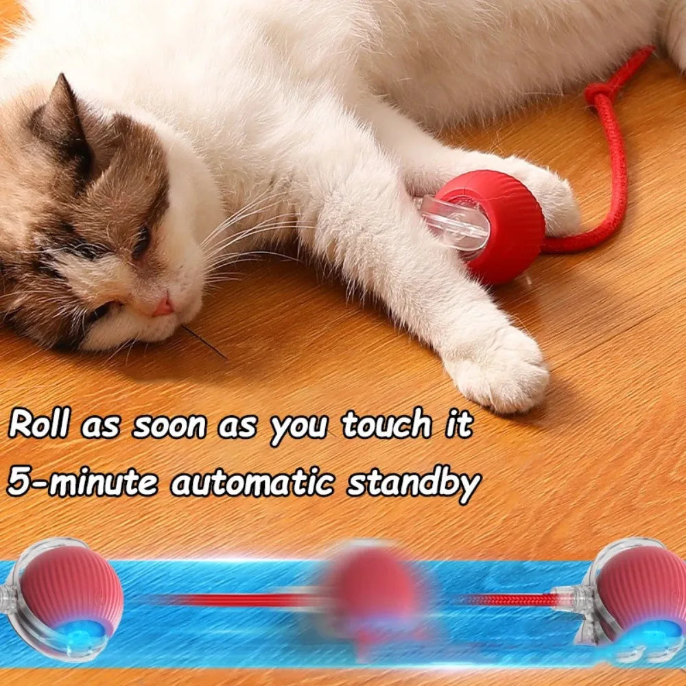 Fast Rolling Smart Cat Toy Ball Automatic Interactive fun with fake tail 🇬🇧