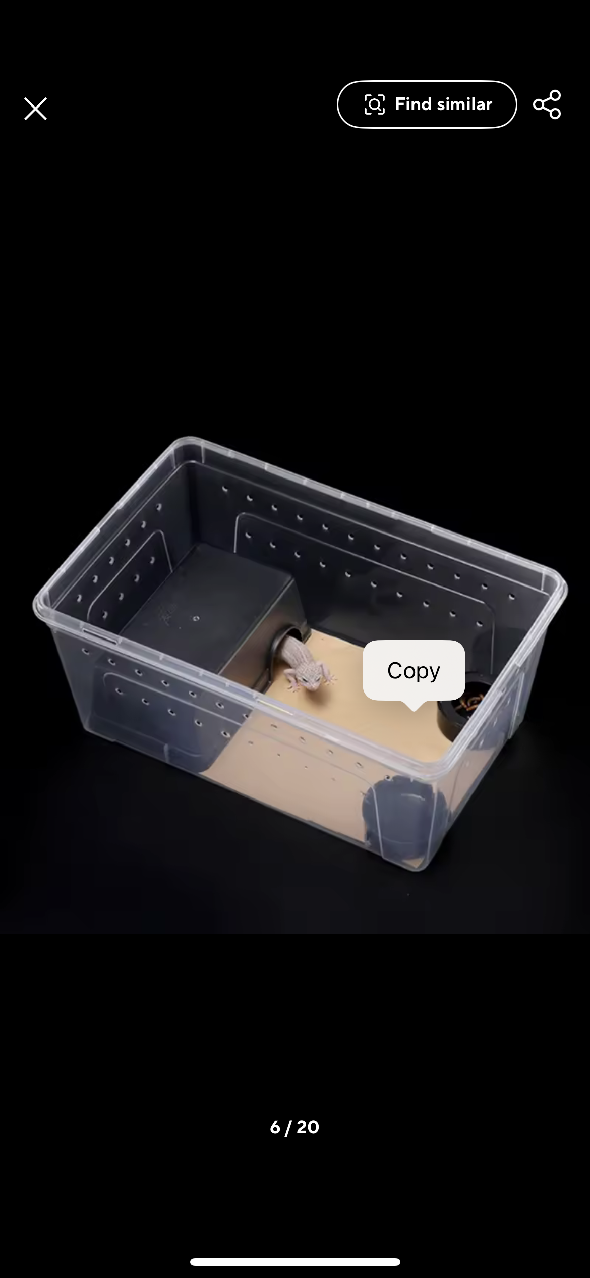 Hinged Lid Hatchling Tubs for Snakes Gecko or Inverts 26cm x 17.5cm x 12.5cm Free Postage Clear Plastic Container