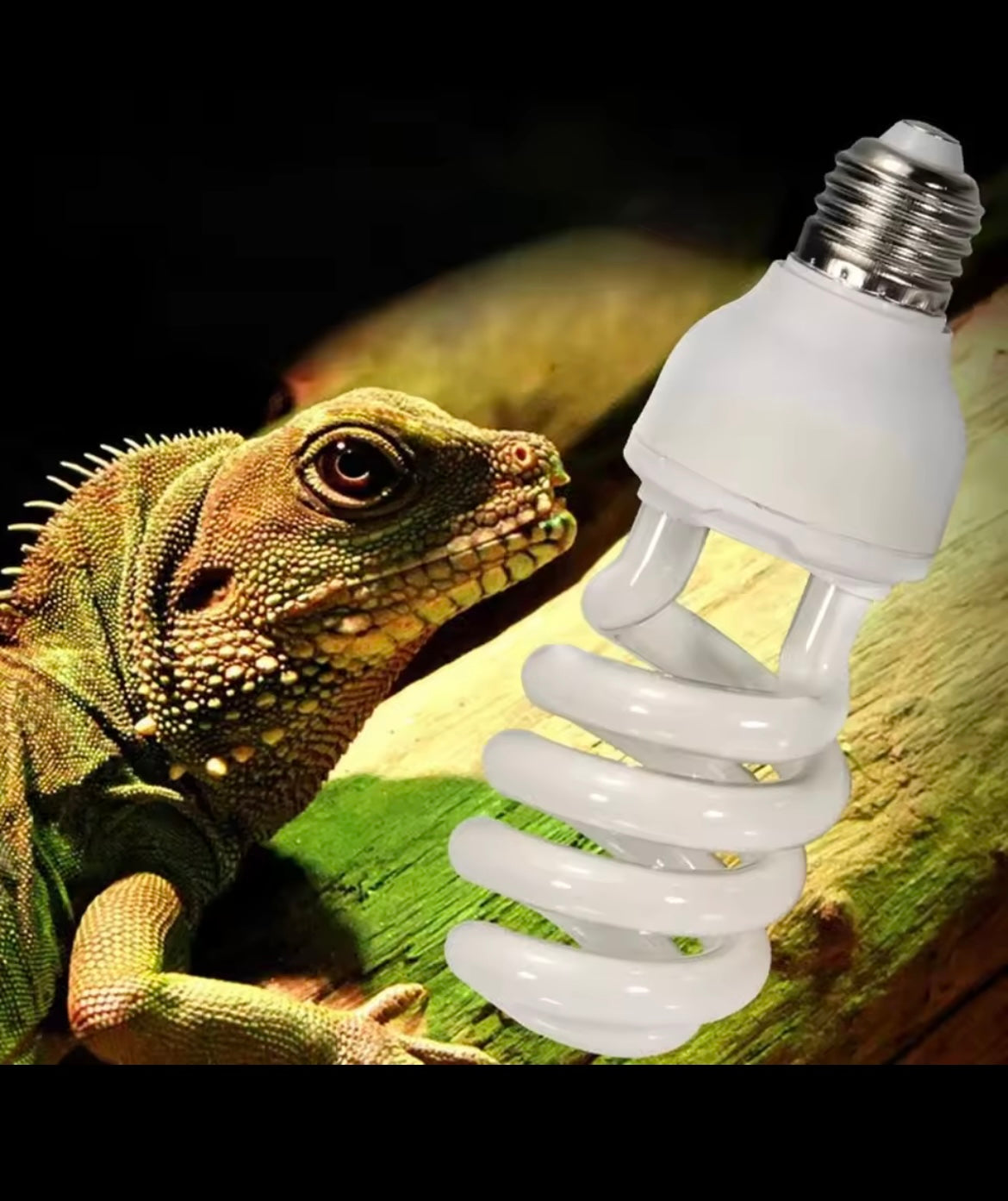 Compact 5.0 10.0 UVB 13W 220V Reptile Light Bulb