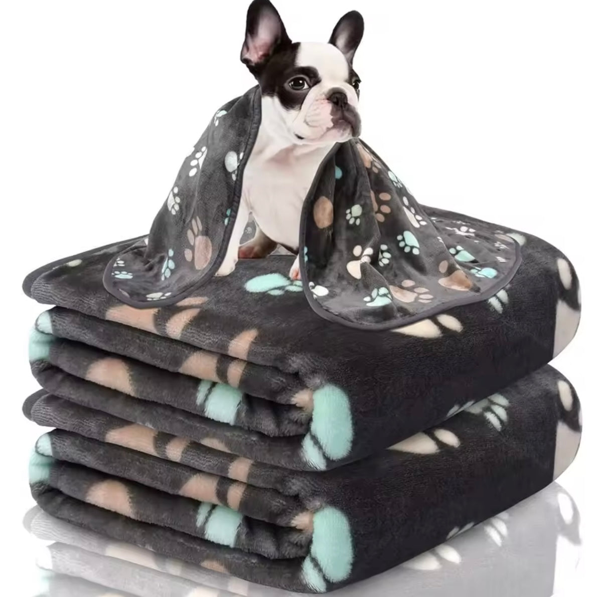 Black Soft Fluffy High Quality Thick Style Pet Blanket Double-sided Pattern Pet Mat Warm and Comfortable Blanket for Cat Dogs