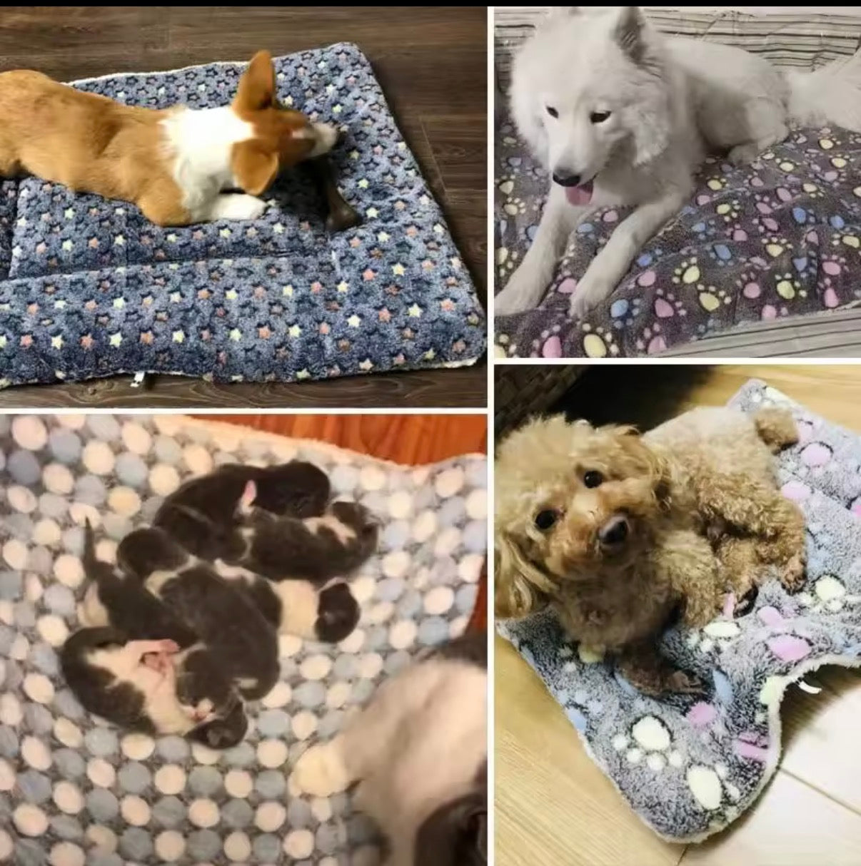 Pet Sleeping Mat Dog Bed Cat Bed Soft Hair Thickened Blanket Pad Fleece Home Washable Warm Bear Pattern Blanke
