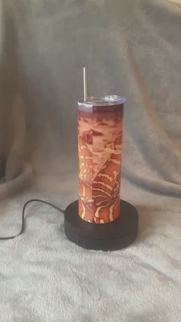 20oz Bredli Python Tumbler with metal straw and cleaning brush hot and cold tech shipping included